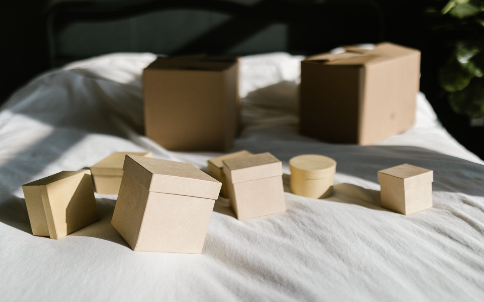 Helfer packt Kartons bei einer Haushaltsauflösung